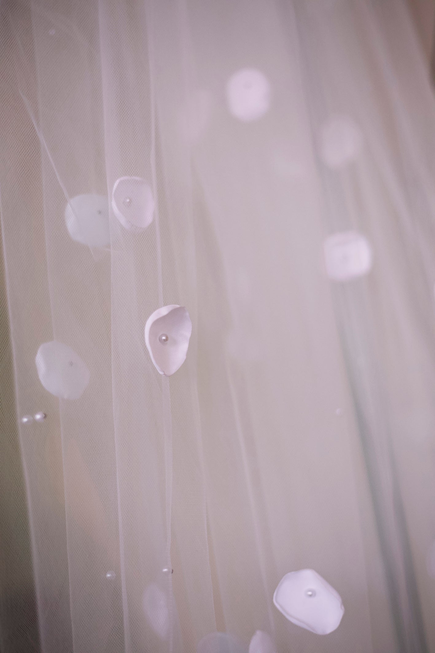 Rose Veil