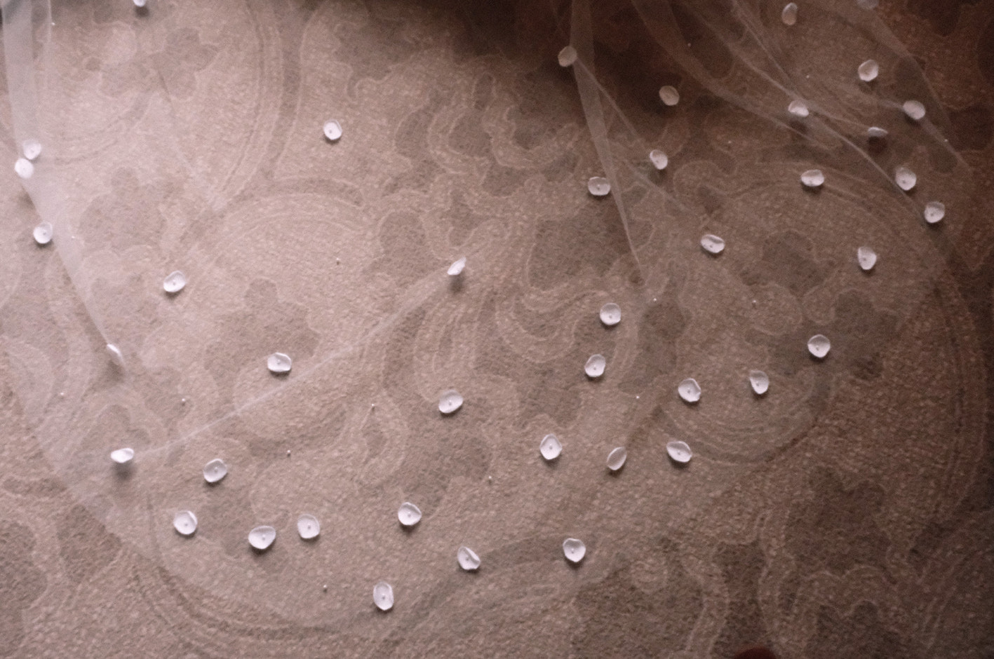 Rose Veil